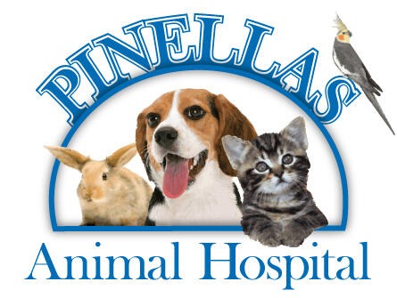 Welcome to Pinellas Animal Hospital – Pinellas Park, FL