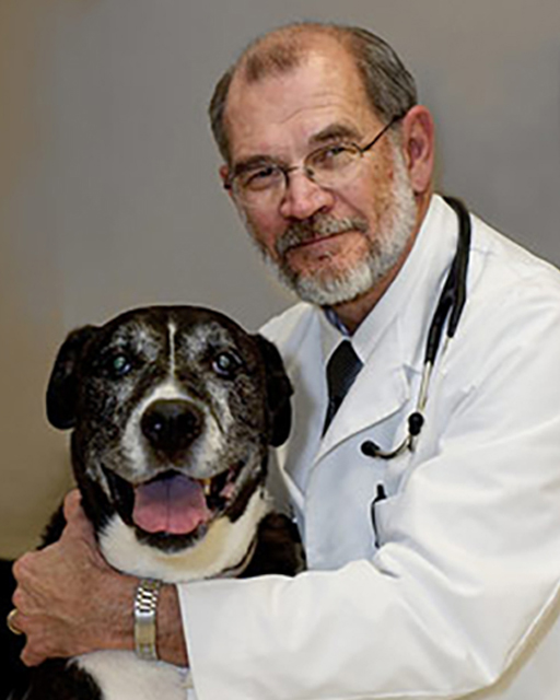 Meet Our Team Pinellas Park, FL Pinellas Animal Hospital