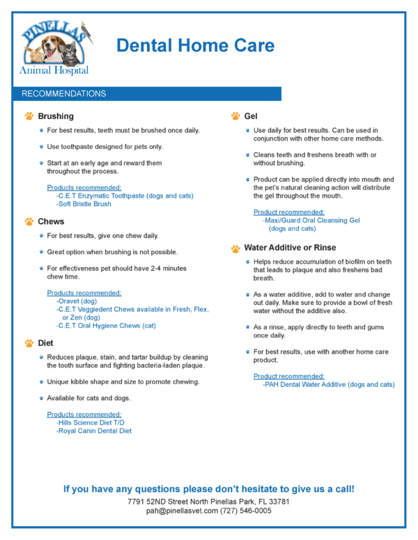 Client Handouts Pinellas Park, FL Pinellas Animal Hospital