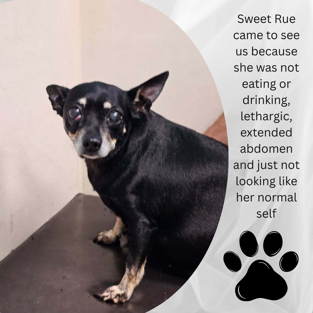 Beige brown moody photo modern minimal paper background motivation inspiration positive quote Instagram post