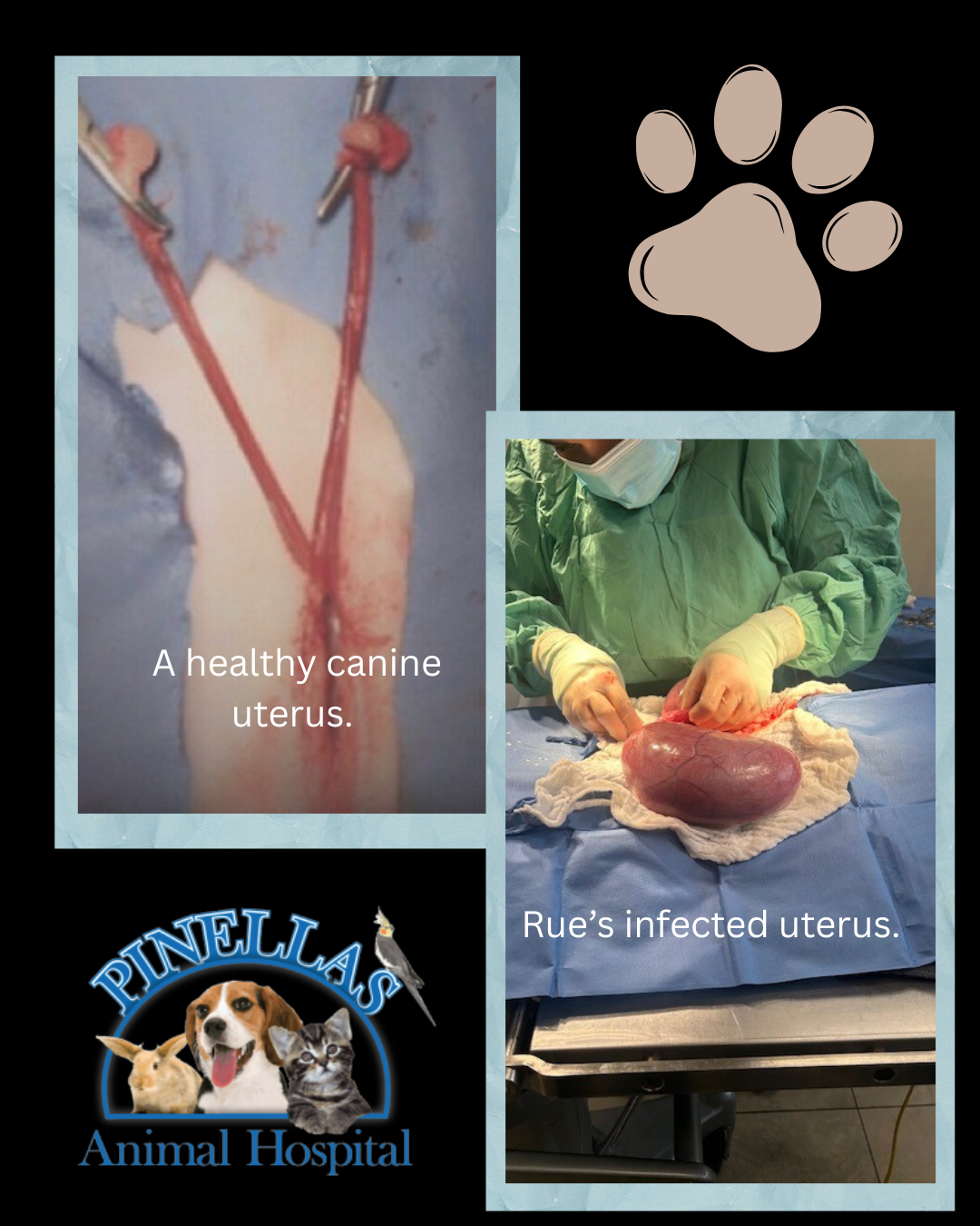 Black Minimalist Aesthetic Fashion Photo Collage Instagram Post Portrait