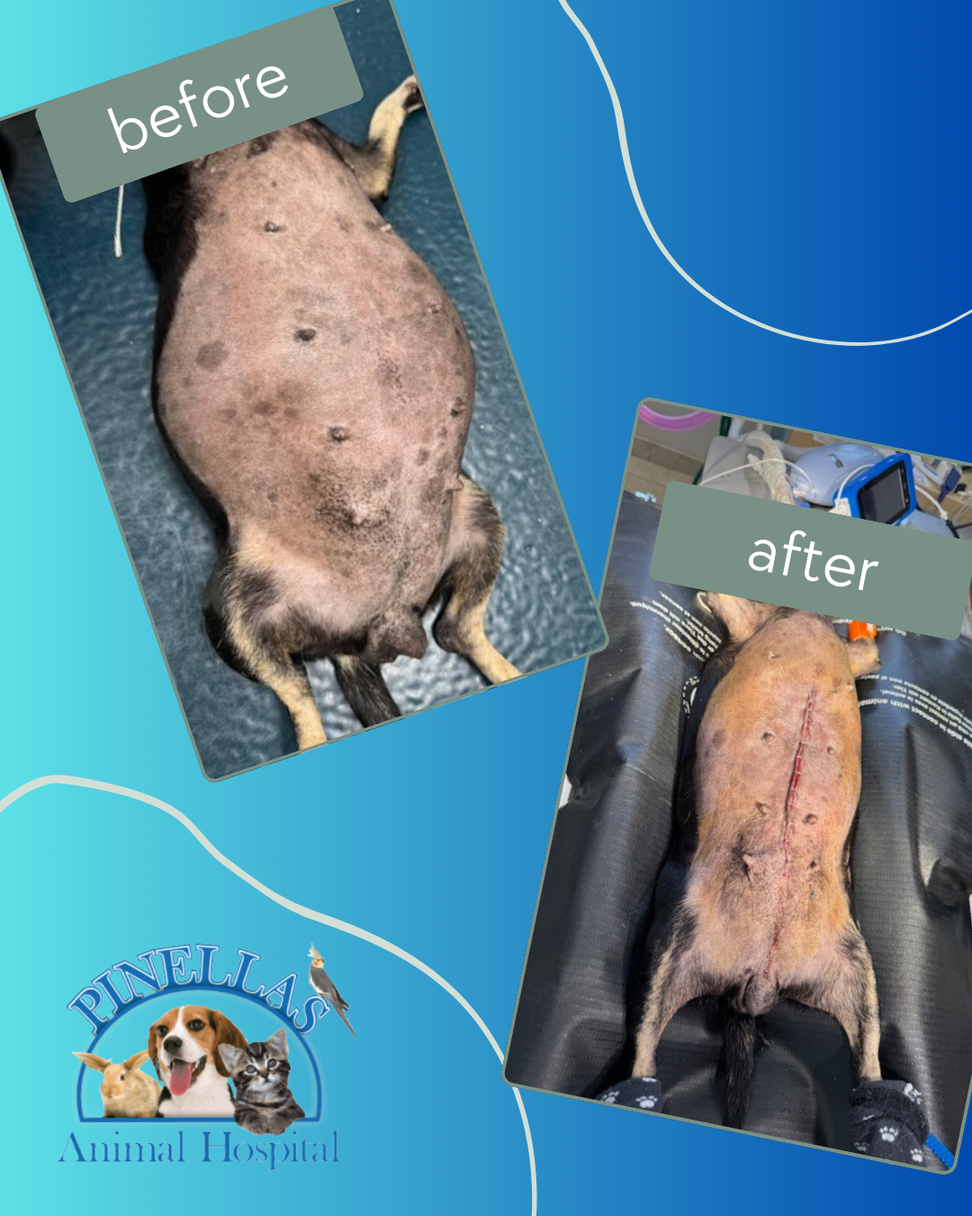 Green Minimalist Before After Fashion Style Instagram Post (1)