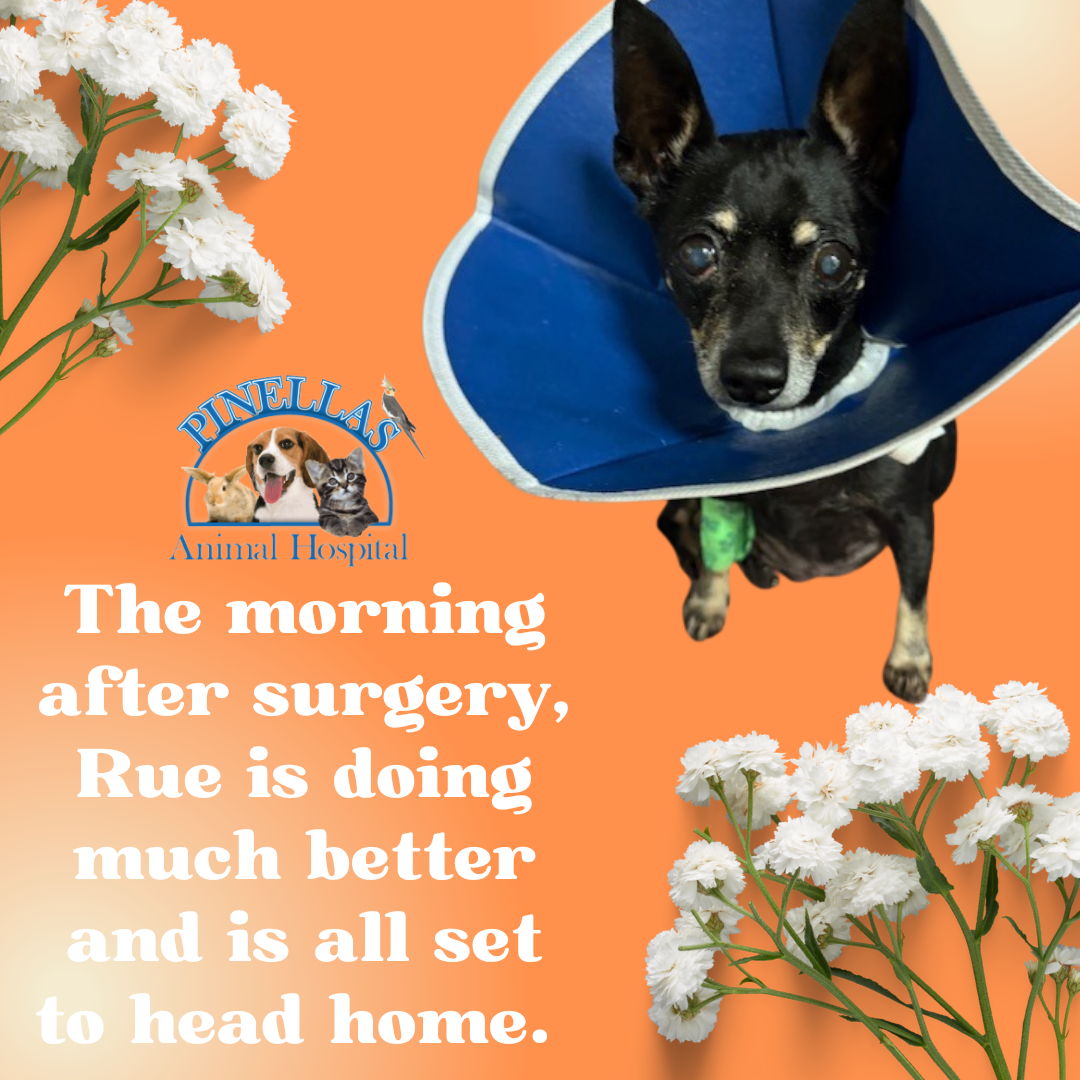 Orange Modern Bold Motivational Quote Instagram Post